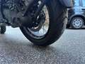 BMW R 1300 GS TROPHY ASA FULL 05/25 KM.2230 Blu/Azzurro - thumbnail 13