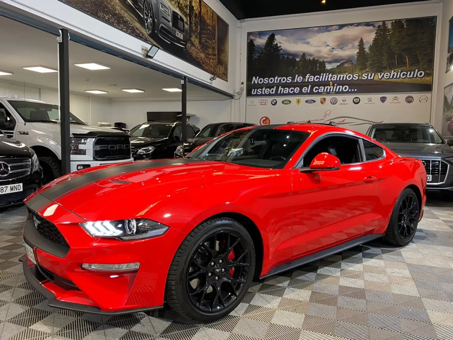 Ford Mustang Fastback 2.3 EcoBoost 214kW Rot - 1