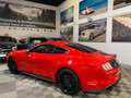 Ford Mustang Fastback 2.3 EcoBoost 214kW Rojo - thumbnail 38
