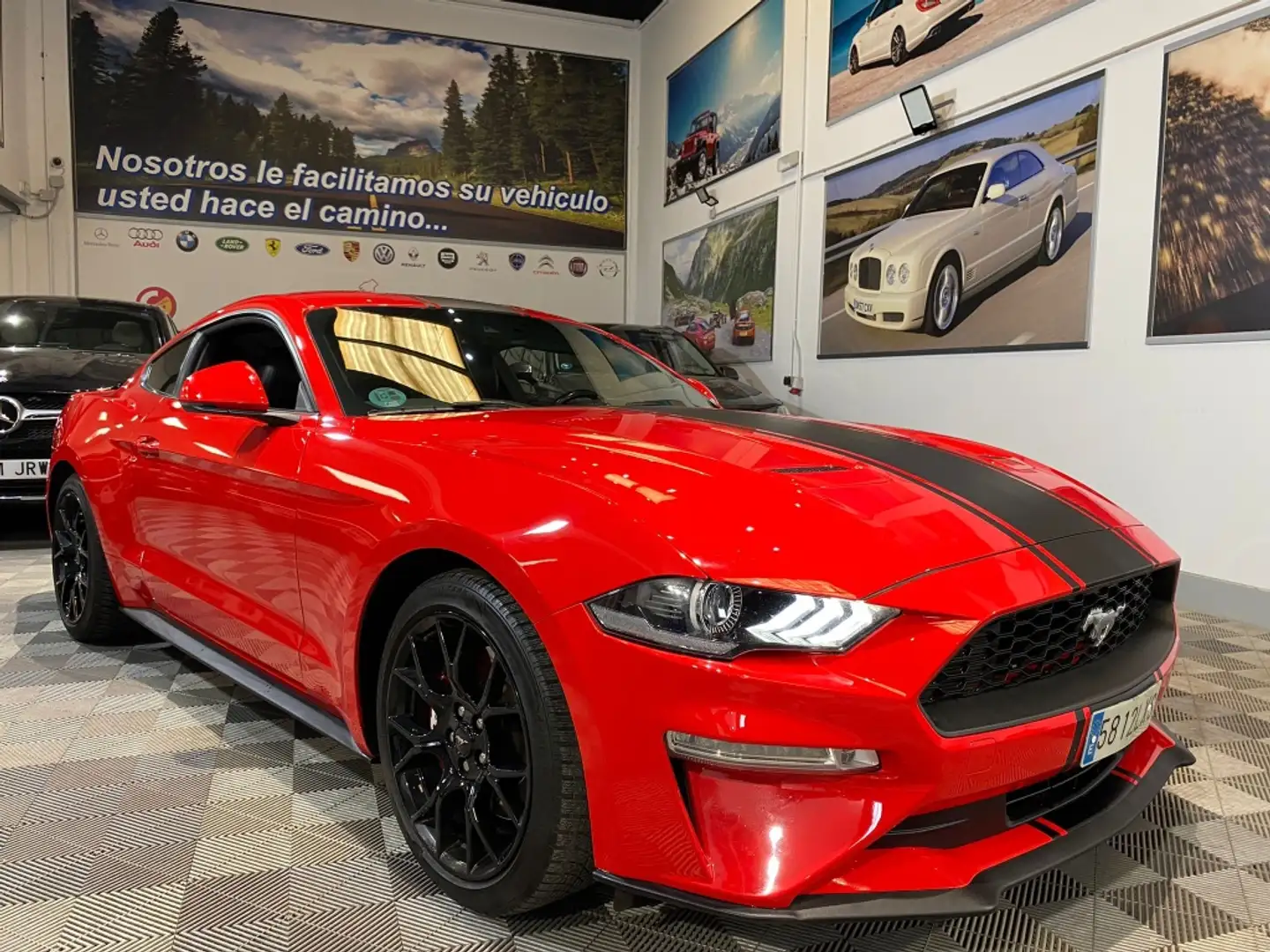 Ford Mustang Fastback 2.3 EcoBoost 214kW Rot - 2