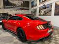 Ford Mustang Fastback 2.3 EcoBoost 214kW Rojo - thumbnail 36