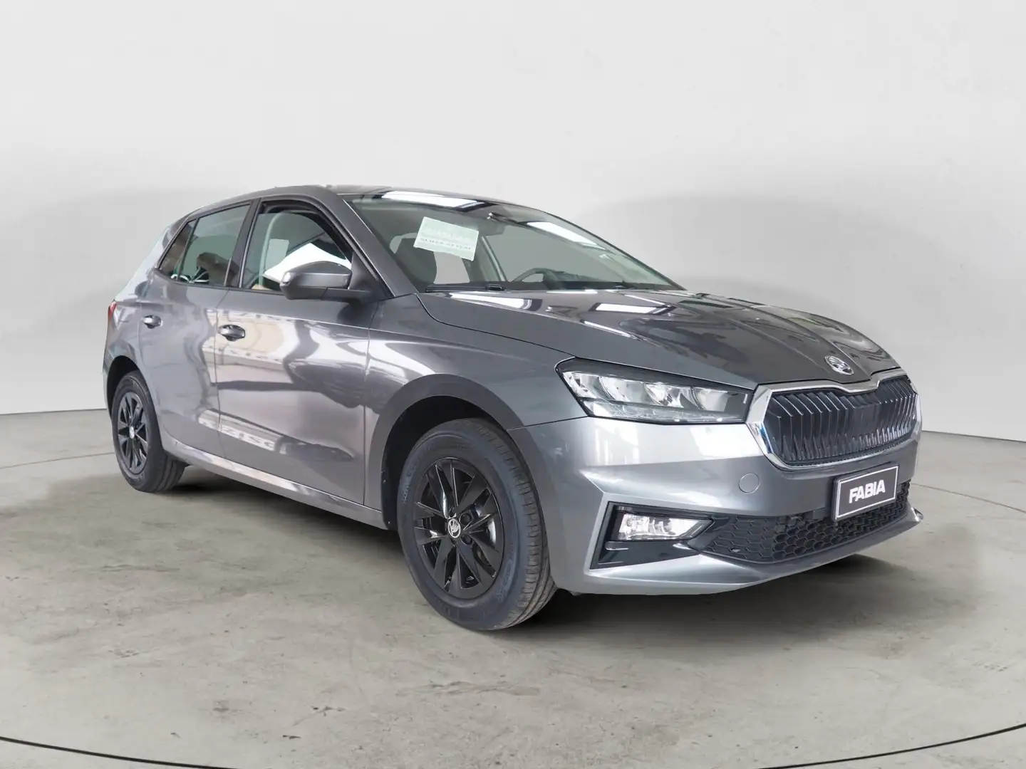 Skoda Fabia Fabia 1.0 TSI 95 CV Young Edition+CLIMATRONIC+COM Grigio - 1