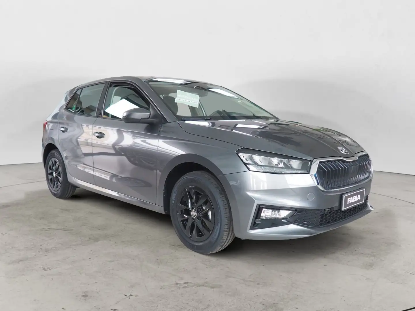 Skoda Fabia Fabia 1.0 TSI 95 CV Young Edition+CLIMATRONIC+COM Grigio - 2