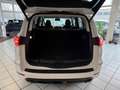 Ford S-Max S-MAX Vignale Automatik*7 Sitzer*LED*AHK*Sitzk. Weiß - thumbnail 21