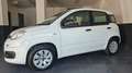 Fiat Panda Panda III 2016 1.2 Pop s Blanc - thumbnail 1