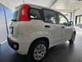 Fiat Panda Panda III 2016 1.2 Pop s Blanc - thumbnail 5