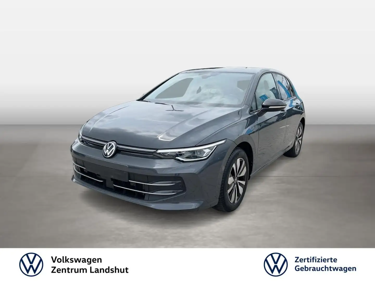 Volkswagen Golf VIII 2.0 TDI DSG Life GOAL ParkAss. FLA Grau - 1