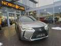 Lexus Sonstige 250h Launch Edition LED NAV SHZ PDC RFK 17" Silber - thumbnail 26