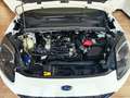 Ford Puma 1.0 Hybrid ST-Line 2023 Bianco - thumbnail 15