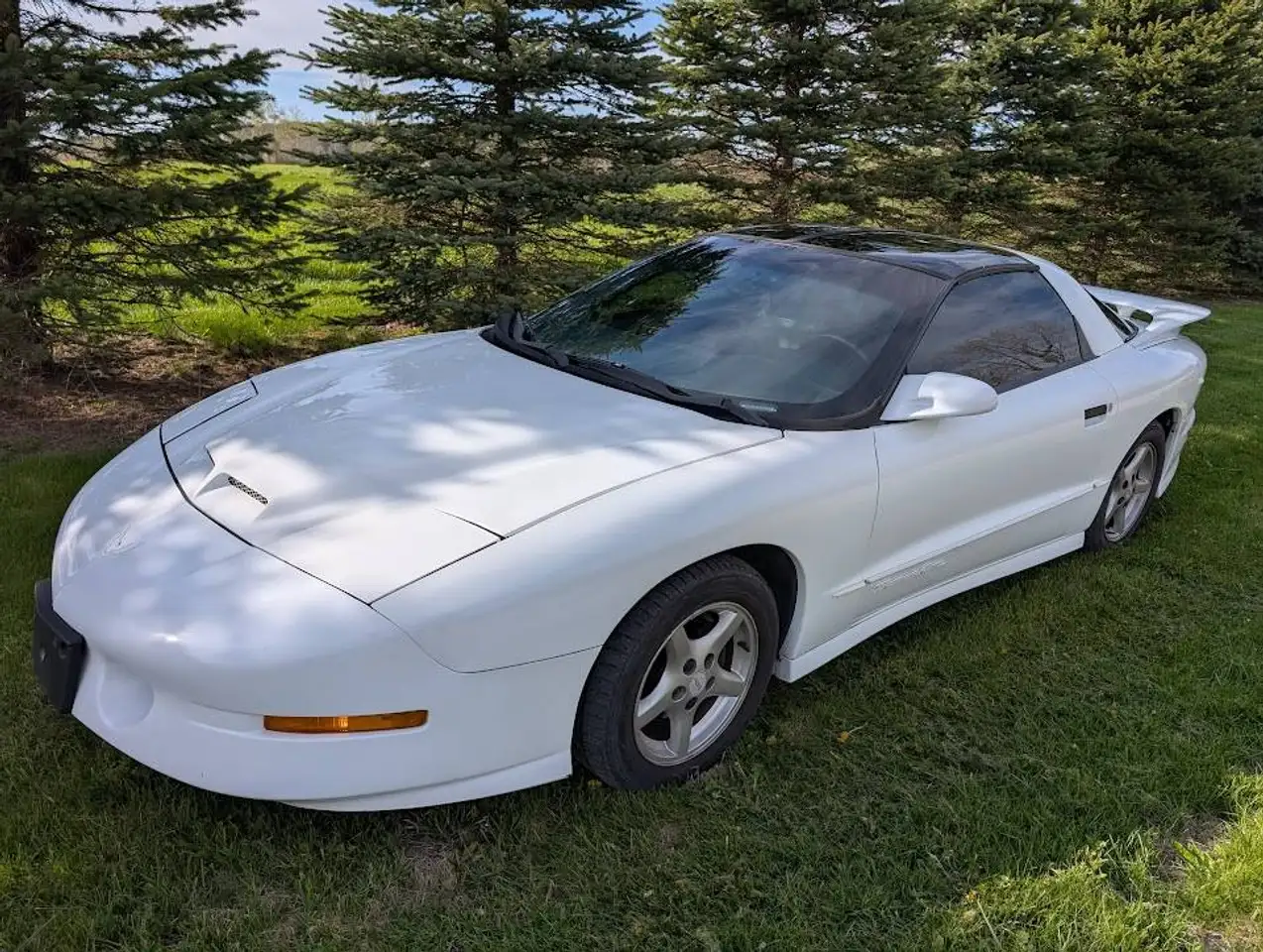 1995 Pontiac Firebird