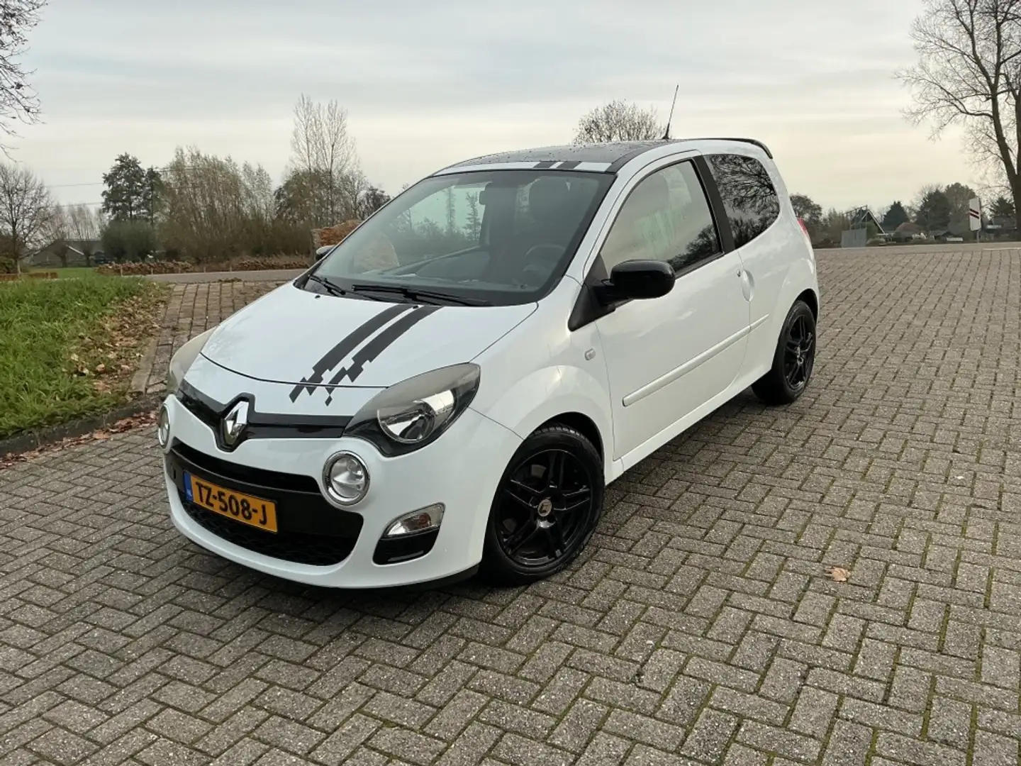 Renault Twingo 1.2 16V DYNAMIQUE Wit - 1