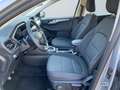 Ford Kuga III 2020 - Kuga 1.5 ecoboost Connect 2wd 120cv Braun - thumbnail 9