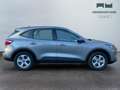 Ford Kuga III 2020 - Kuga 1.5 ecoboost Connect 2wd 120cv Braun - thumbnail 4