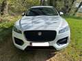 Jaguar F-Pace F-Pace 25t AWD R-Sport Wit - thumbnail 1