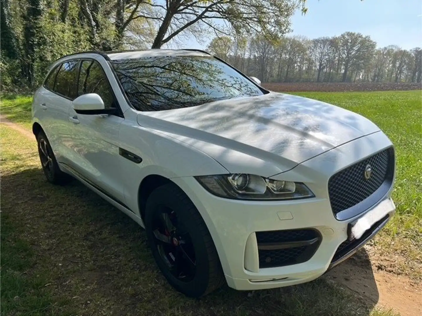 Jaguar F-Pace F-Pace 25t AWD R-Sport Wit - 2
