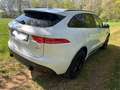Jaguar F-Pace F-Pace 25t AWD R-Sport Wit - thumbnail 3