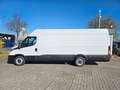 Iveco Daily 35S16H 3.0A8 V Y Weiß - thumbnail 5