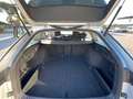 Skoda Octavia Octavia IV Wagon 2.0 tdi evo Executive dsg Argento - thumbnail 10