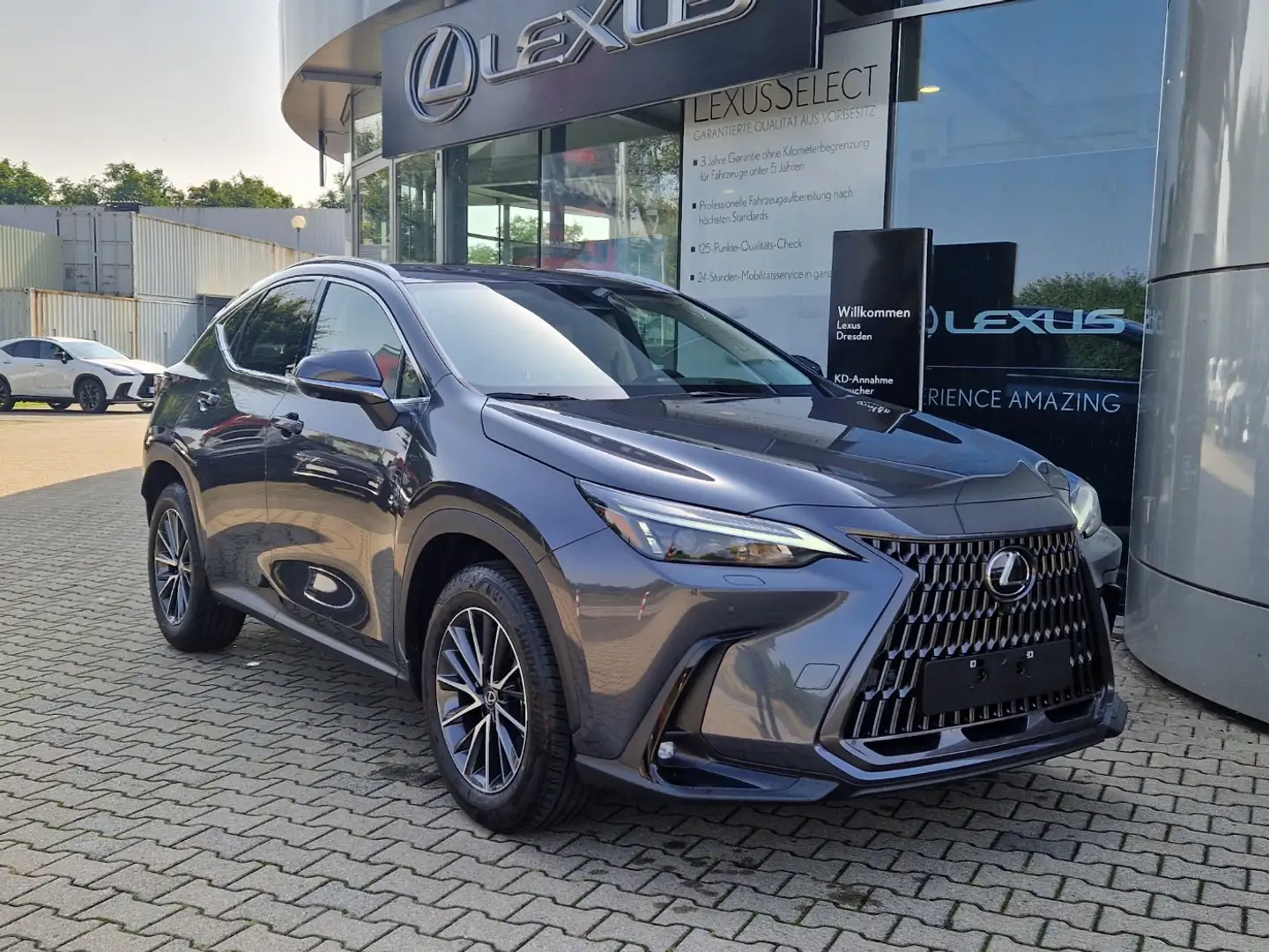 Lexus NX 350h Executive Line FLA HUD ParkAss. SpurH Grijs - 2