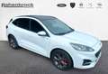 Ford Kuga ST-Line Plug-In Hybrid - AUTOMATIK Weiß - thumbnail 14