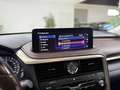 Lexus RX 450h Executive Rot - thumbnail 25