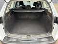 Ford Focus Wagon 1.0 Trend | € 4.295,- NETTO! | Airco | Trekh Weiß - thumbnail 16