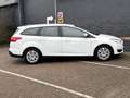 Ford Focus Wagon 1.0 Trend | € 4.295,- NETTO! | Airco | Trekh Weiß - thumbnail 7