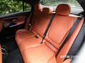 Mercedes-Benz C 220 d AMG Line *mit KW Gewindefahrwerk V3* Grau - thumbnail 14