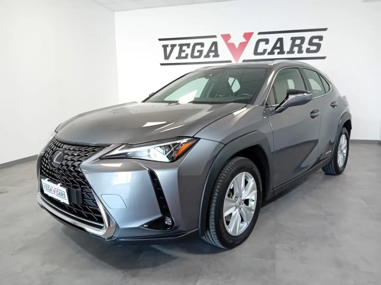 Lexus UX Full Electric UX Hybrid Business OFFERTA SUPERP Grigio - 1