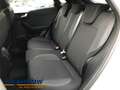 Ford Puma 1.0 EcoBoost MHEV Titanium LED NAVI ALLWETTER DAB Weiß - thumbnail 10