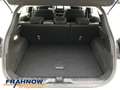 Ford Puma 1.0 EcoBoost MHEV Titanium LED NAVI ALLWETTER DAB Weiß - thumbnail 11