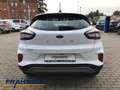 Ford Puma 1.0 EcoBoost MHEV Titanium LED NAVI ALLWETTER DAB Weiß - thumbnail 5