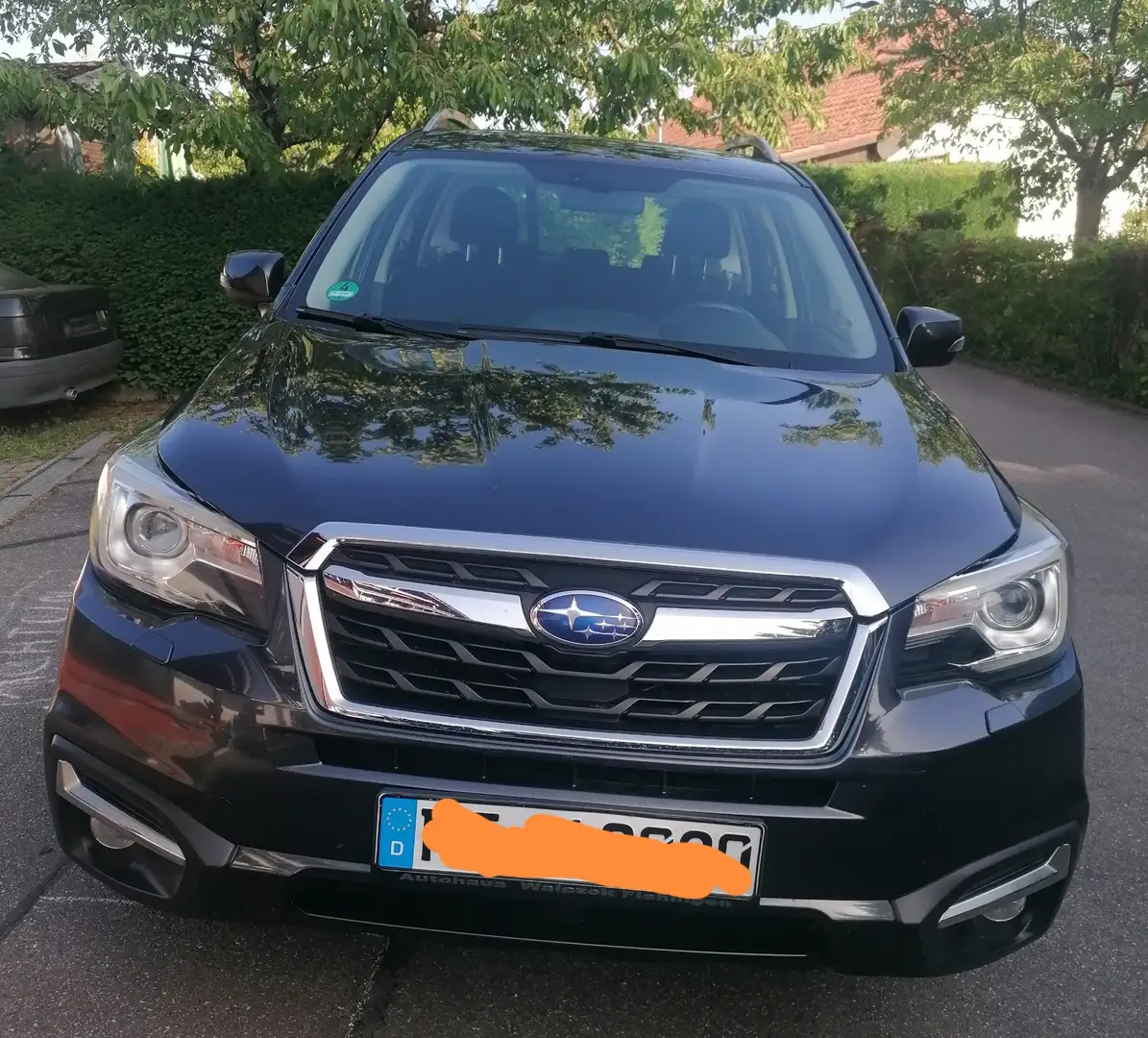 Subaru Forester Exclusive Allrad, Anhängerk., Panorama, Automatik Grau - 1