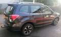 Subaru Forester Exclusive Allrad, Anhängerk., Panorama, Automatik Grau - thumbnail 5