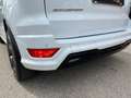 Ford EcoSport 1.0 ecoboost ST-Line Black e. #alcantara#bicolor Bianco - thumbnail 6
