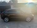 Audi Q3 2.0 TDI 120 CV S tronic Business Noir - thumbnail 3