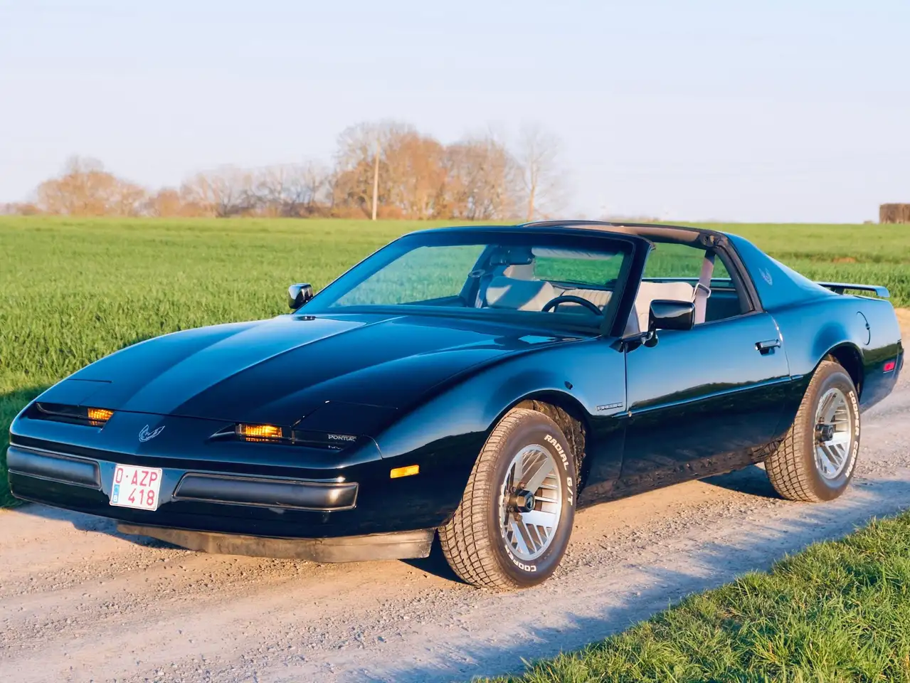 Pontiac Firebird, foto 4
