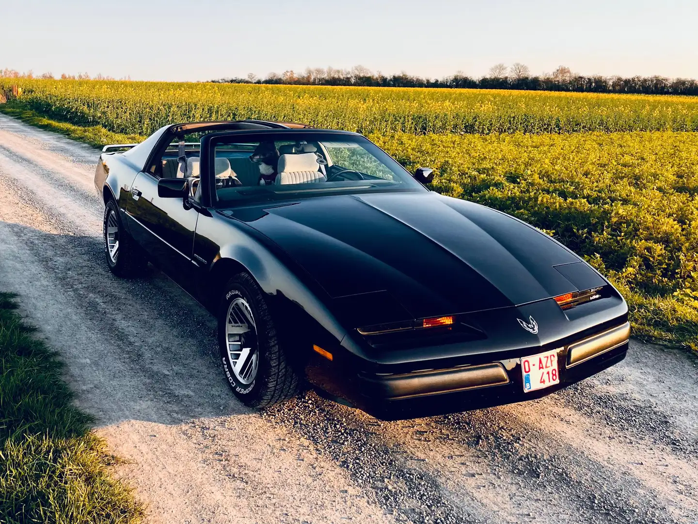 Pontiac Firebird Schwarz - 1
