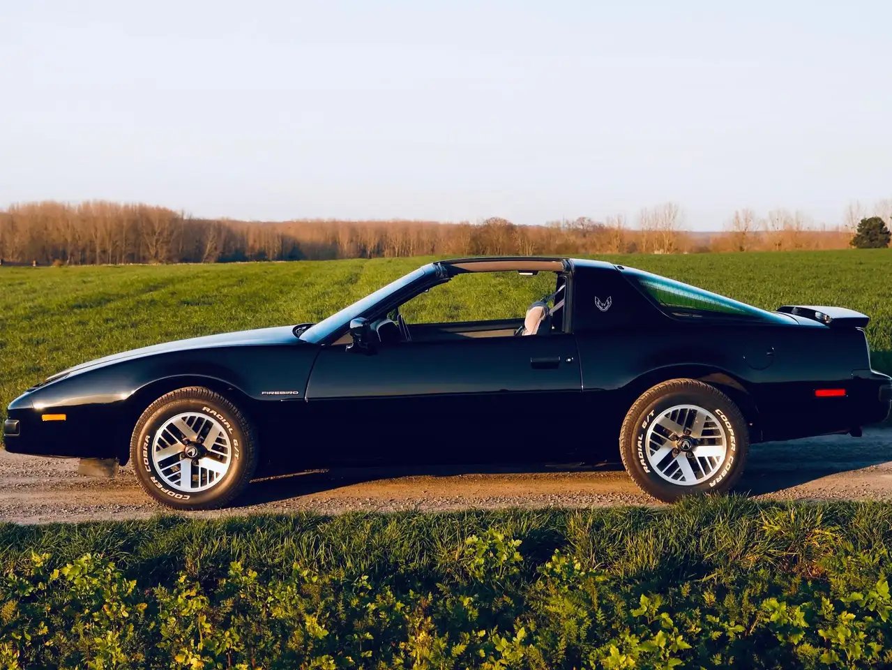 Pontiac Firebird, foto 5