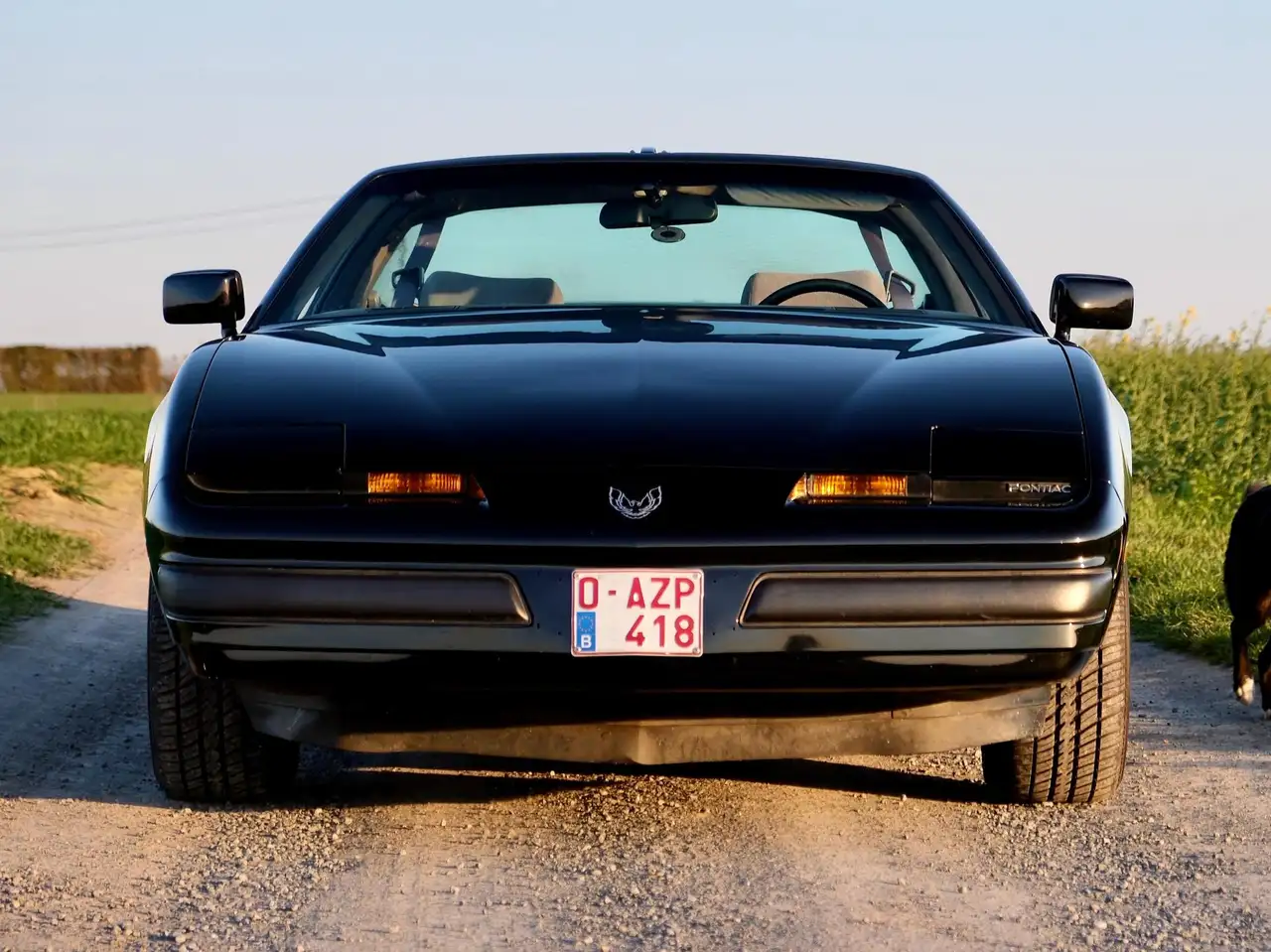 Pontiac Firebird, foto 3