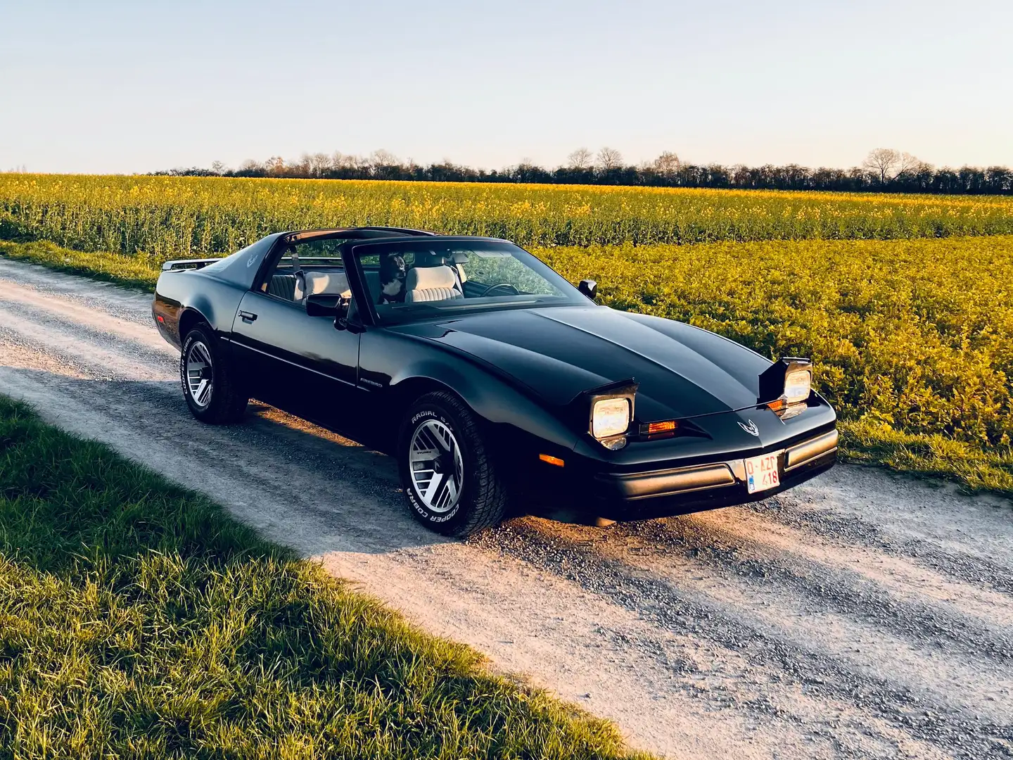 Pontiac Firebird Schwarz - 2