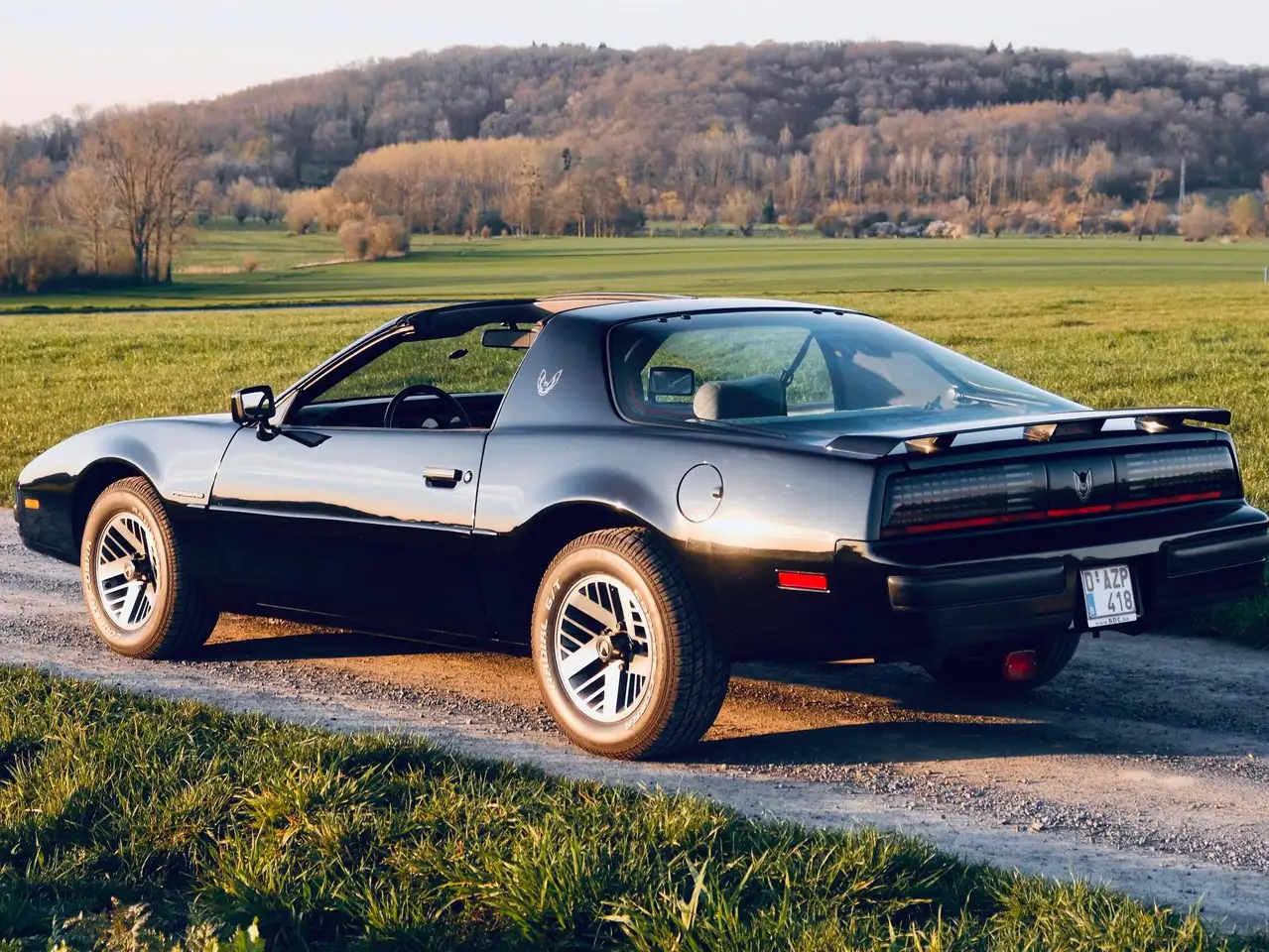 Pontiac Firebird, foto 6