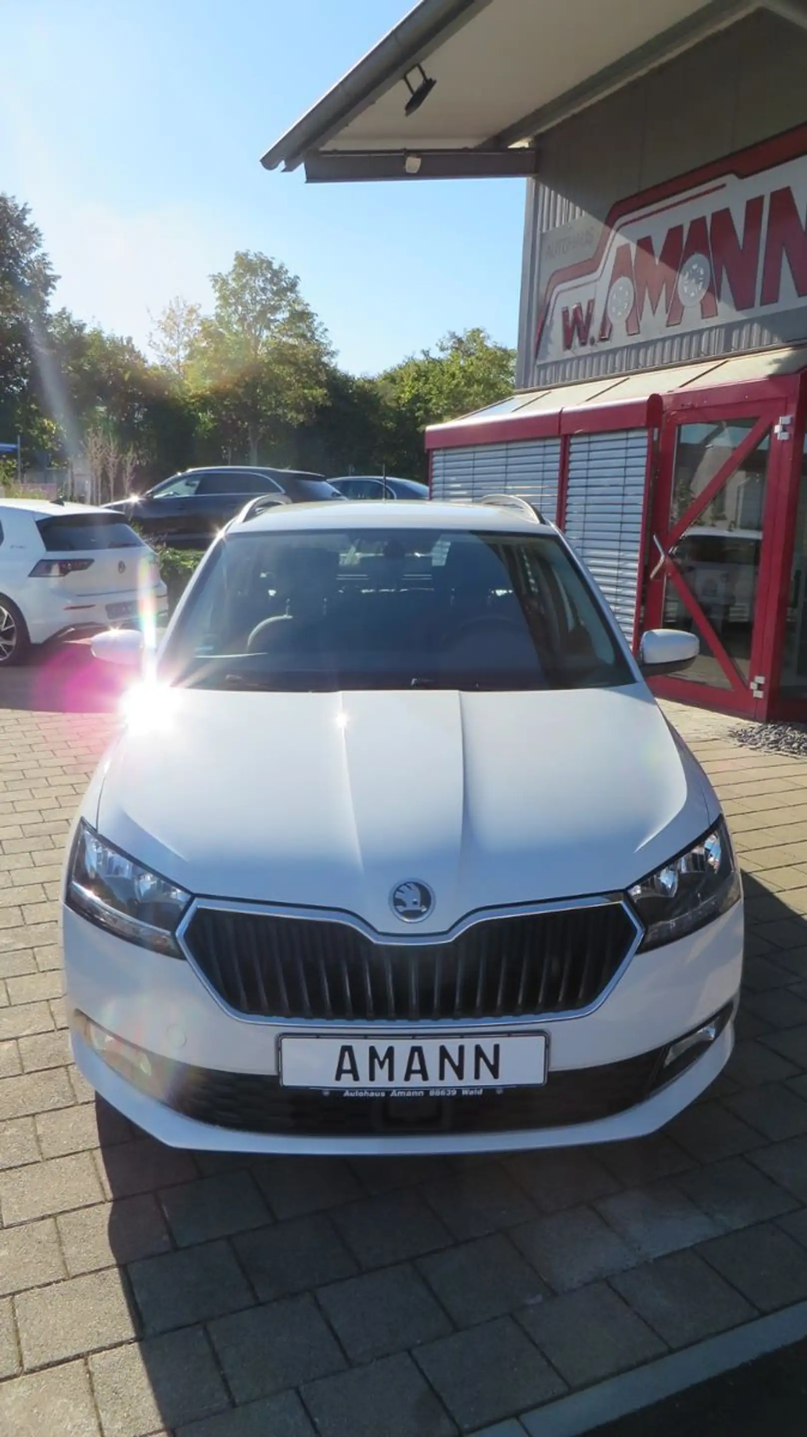 Skoda Fabia Combi Style AHK Rückfahrkamera — photo 4