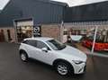 Mazda CX-3 CX-3 2.0i SKYACTIV-G 2WD Skydrive Blanc - thumbnail 9
