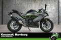 Kawasaki Ninja 125 4 JAHRE WERKSGARANTIE, Lieferservice Szürke - thumbnail 1