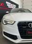 Audi A5 A5  2.0 tdi Business Plus quattro 177cv Bianco - thumbnail 5