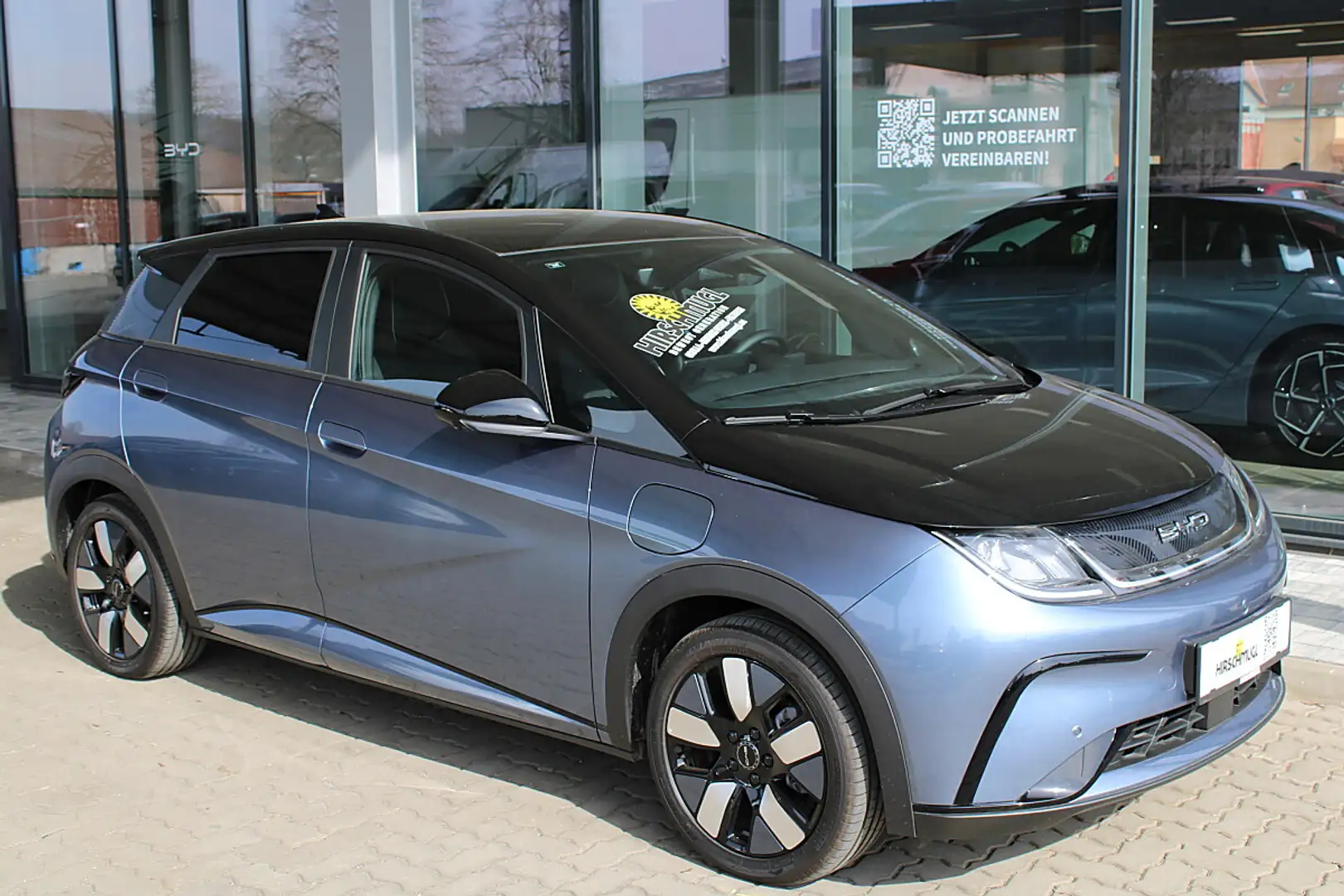 BYD Dolphin 60,4 kWh Design Österreich Paket Blau - 1