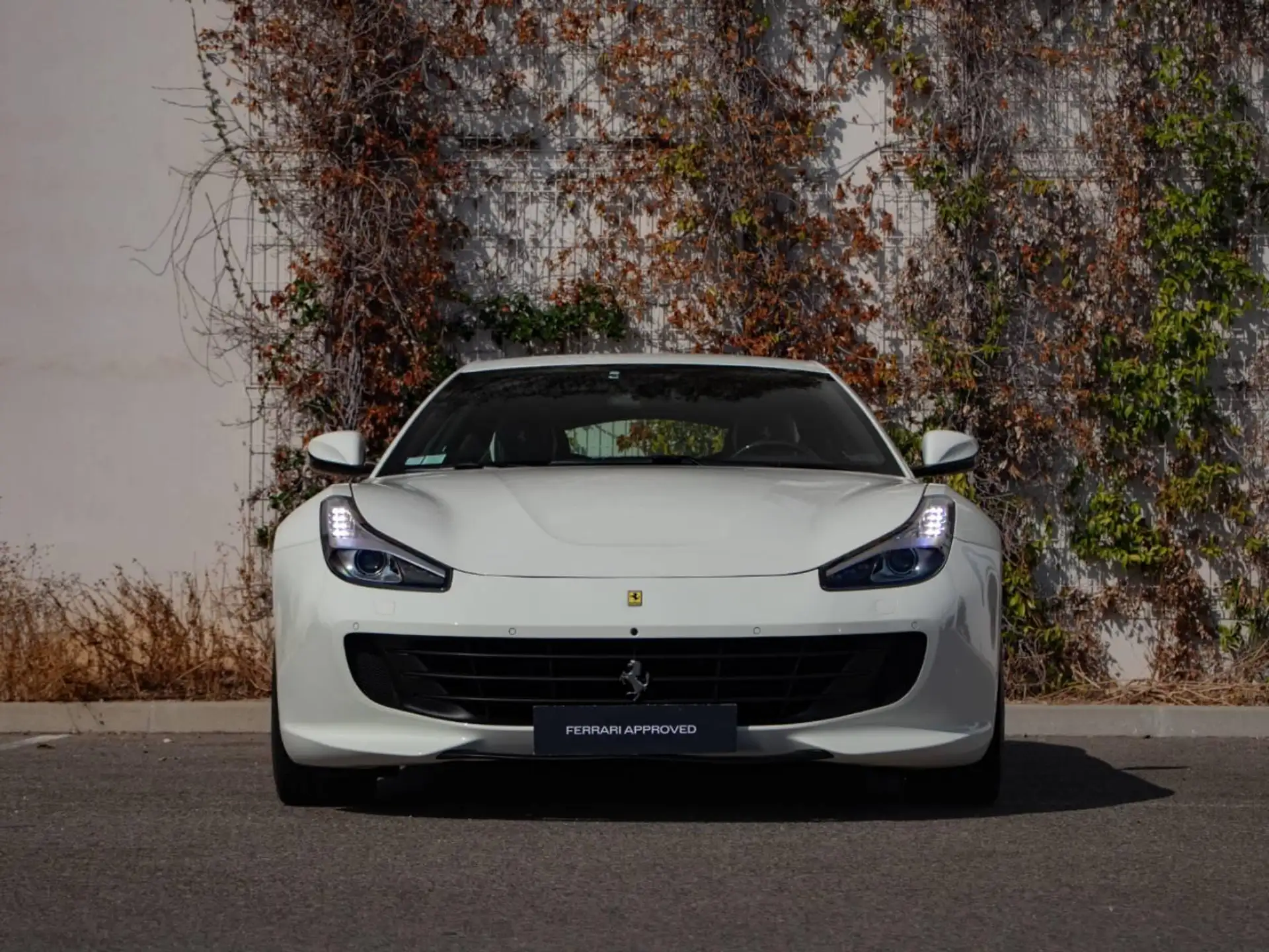 페라리 GTC4 루쏘 2017 실버 사진 2
