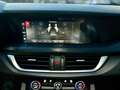 Alfa Romeo Stelvio Stelvio 2.2 t Business Q4 190cv auto Gris - thumbnail 25