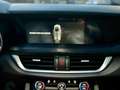Alfa Romeo Stelvio Stelvio 2.2 t Business Q4 190cv auto Gris - thumbnail 22